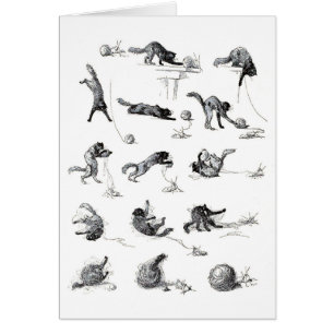 Zwarte katten- en woolen-garen, Alexandre Steinlen