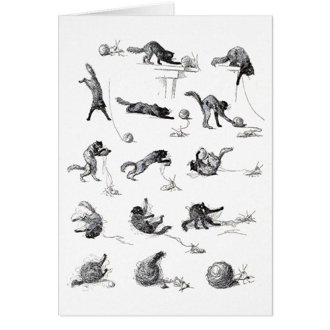 Zwarte katten- en woolen-garen, Alexandre Steinlen (Voorkant)