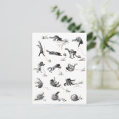 Zwarte katten- en woolen-garen, Alexandre Steinlen Briefkaart (Staand voorkant)