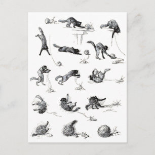 Zwarte katten- en woolen-garen, Alexandre Steinlen Briefkaart