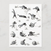 Zwarte katten- en woolen-garen, Alexandre Steinlen Briefkaart (Voorkant)