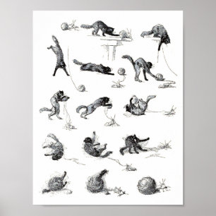 Zwarte katten- en woolen-garen, Alexandre Steinlen Poster