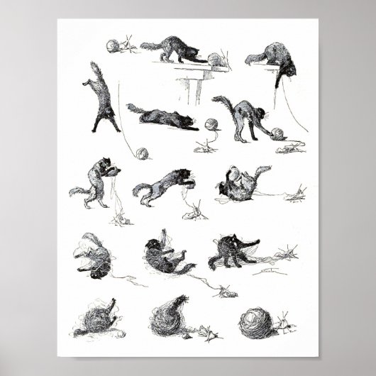 Zwarte katten- en woolen-garen, Alexandre Steinlen Poster (Voorkant)