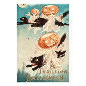  zwarte katten foto afdruk (Voorkant)