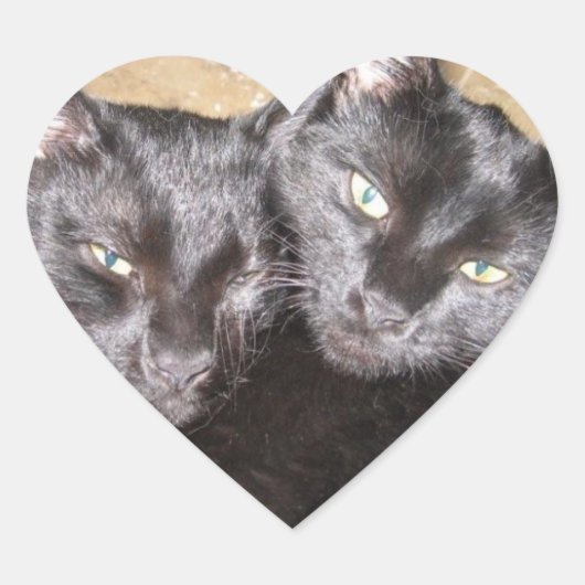 Zwarte katten hart sticker (Voorkant)