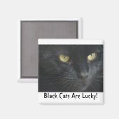 Zwarte katten hebben geluk! Magneet (Voorkant / Achterkant)