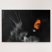 Zwarte katten heersen - Oranje ogen Legpuzzel (Horizontaal)