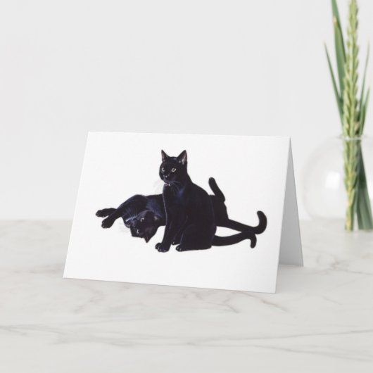 zwarte katten kaart (Voorkant)