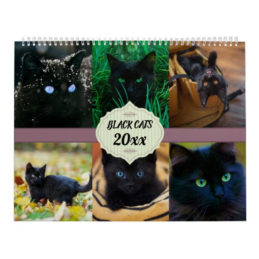 Zwarte katten kalender (Hoes)