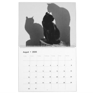 Zwarte katten & Kittens Cute Kitty Cat 2021 Kalender
