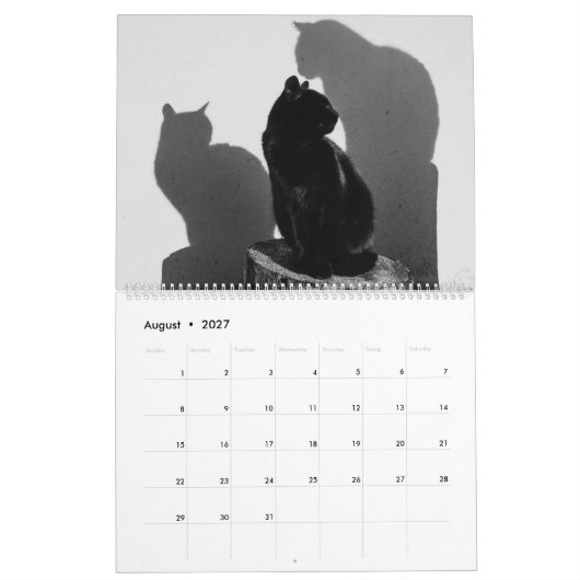Zwarte katten & Kittens Cute Kitty Cat 2021 Kalender (Aug 2027)