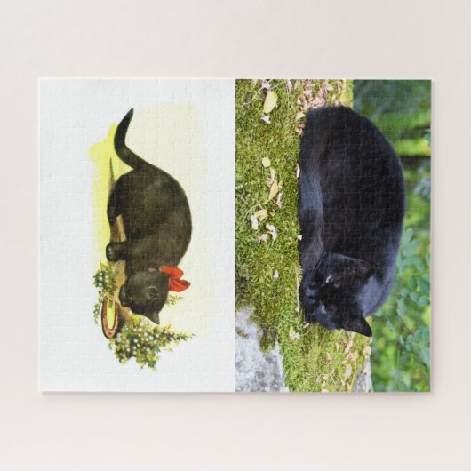 Zwarte katten legpuzzel (Horizontaal)