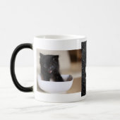 Zwarte katten magische mok (Links)