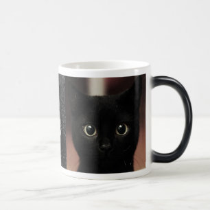 Zwarte katten magische mok