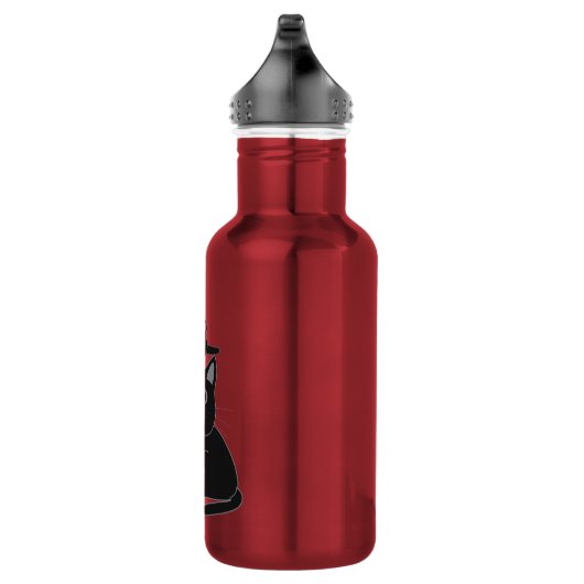 zwarte katten, moeder en kind waterfles  (Rechts)