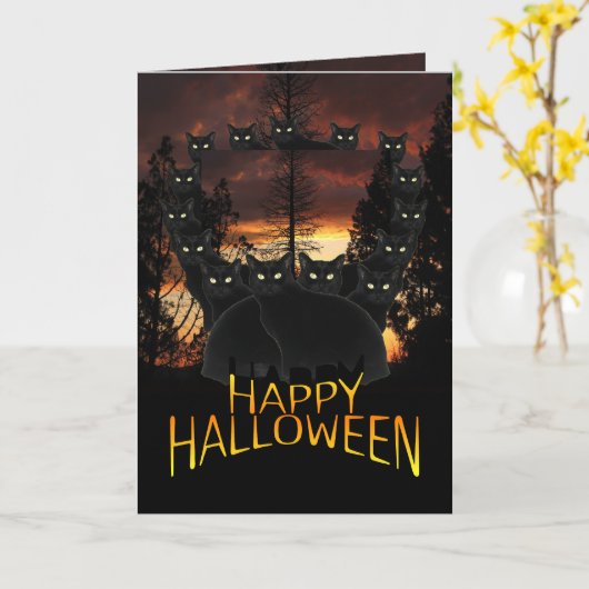 Zwarte katten op patroonhalloween kaart (Gele Bloem)
