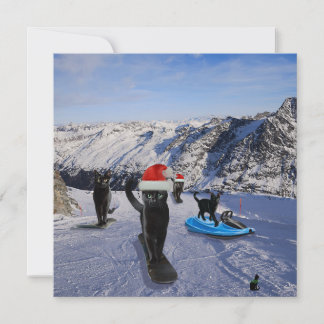 Zwarte katten op snowboards Vouwkaart Kaart