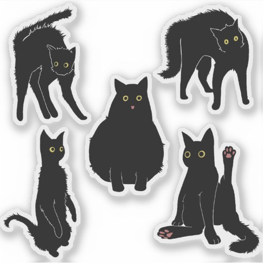 Zwarte katten sticker (Voorkant)