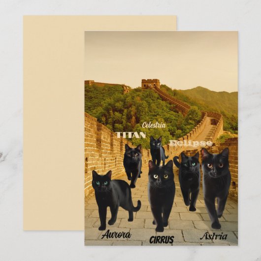 Zwarte katten vallen De Grote Muur binnen in kerst Kaart (Voorkant / Achterkant)