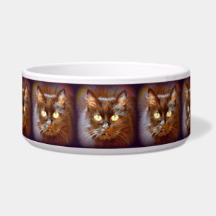 zwarte katten voerbakje