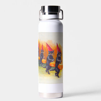 zwarte katten waterfles