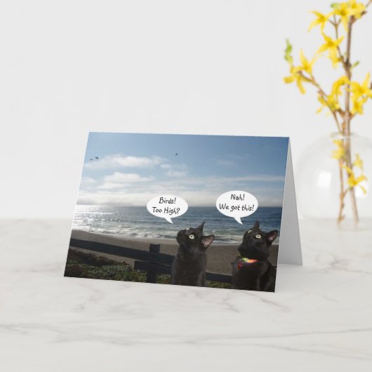 Zwarte katten willen Kaart om vogels aan te moedig (Gele Bloem)