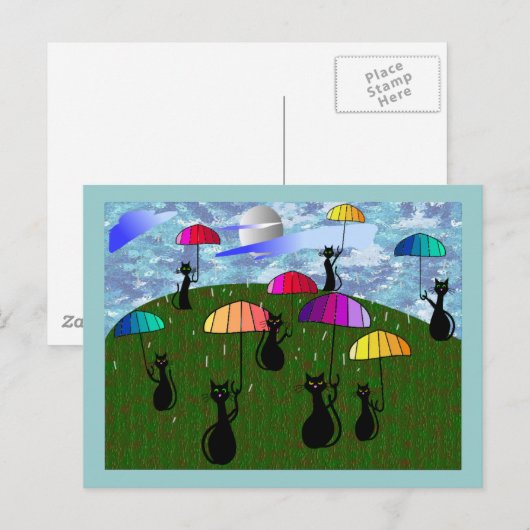 Zwarte kattenbroodjes briefkaart (Voorkant / Achterkant)