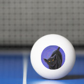 Zwarte kattencadeaus en Accessoires Pingpongbal (Net)
