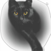 Zwarte Kattenfilters Sticker (Voorkant)