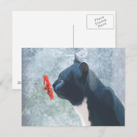 Zwarte kattenknipventilator briefkaart (Voorkant / Achterkant)