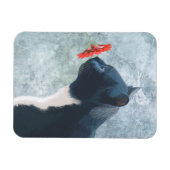 Zwarte kattenknipventilator magneet (Horizontaal)