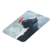 Zwarte kattenknipventilator magneet (Linkerzijde)