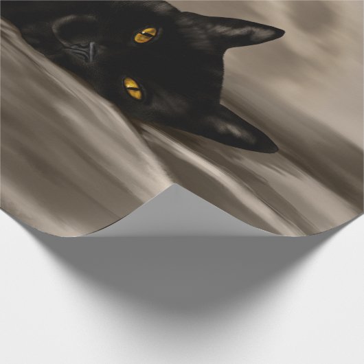 Zwarte kattenkoeling cadeaupapier (Hoek)