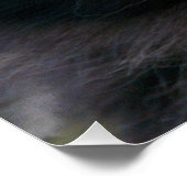 zwarte kattenliefhebber perfect poster (Hoek)