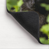 Zwarte kattenmousepad muismat (Hoek)