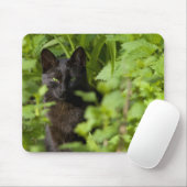 Zwarte kattenmousepad muismat (Met muis)