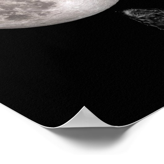 Zwarte kattenschaduw poster (Hoek)