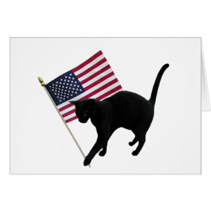 Zwarte kattenvlag