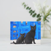 Zwarte kattenzwerver briefkaart (Staand voorkant)