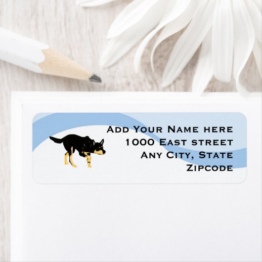 Zwarte Kelpies op Blue Swirl Etiket (Insitu)