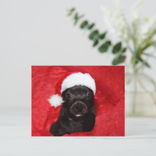 Zwarte kersthond feestdagenkaart (Staand voorkant)