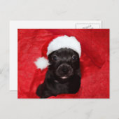 Zwarte kersthond feestdagenkaart (Voorkant / Achterkant)