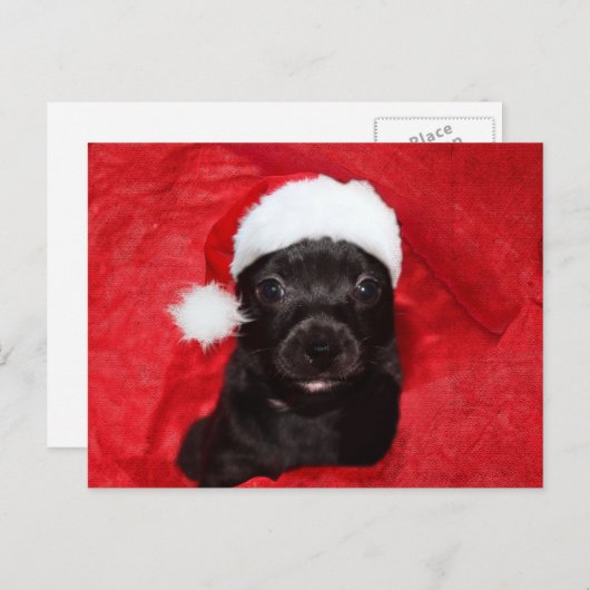 Zwarte kersthond feestdagenkaart (Voorkant / Achterkant)