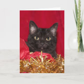 Zwarte kerstkat feestdagen kaart (Voorkant)