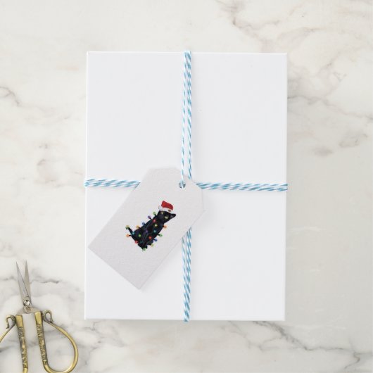 Zwarte kerstkat met kerstverlichting cadeaulabel (Met Touw)