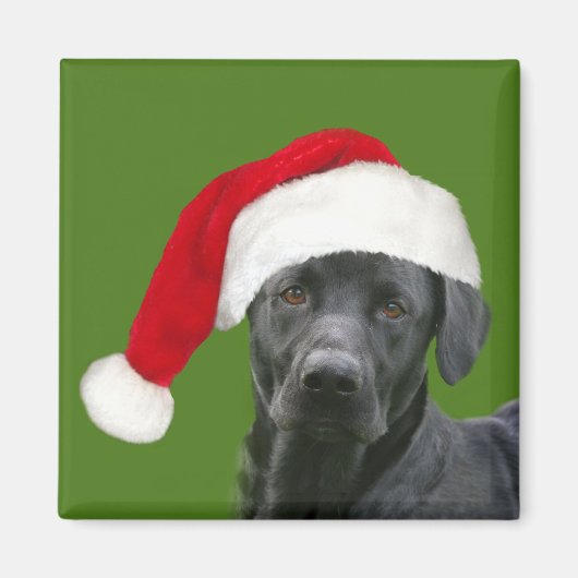 Zwarte Kerstmis Magneet (Voorkant)