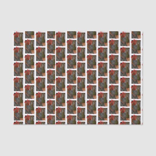 Zwarte Kerstmis Tissuepapier (Voorkant)