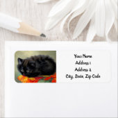 zwarte keuken met rode ventilatorbak etiket (Insitu)