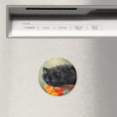 zwarte keuken met rode ventilatorbak magneet (Insitu (Vaatwasser))