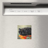 zwarte keuken met rode ventilatorbak magneet (Insitu (Vaatwasser))